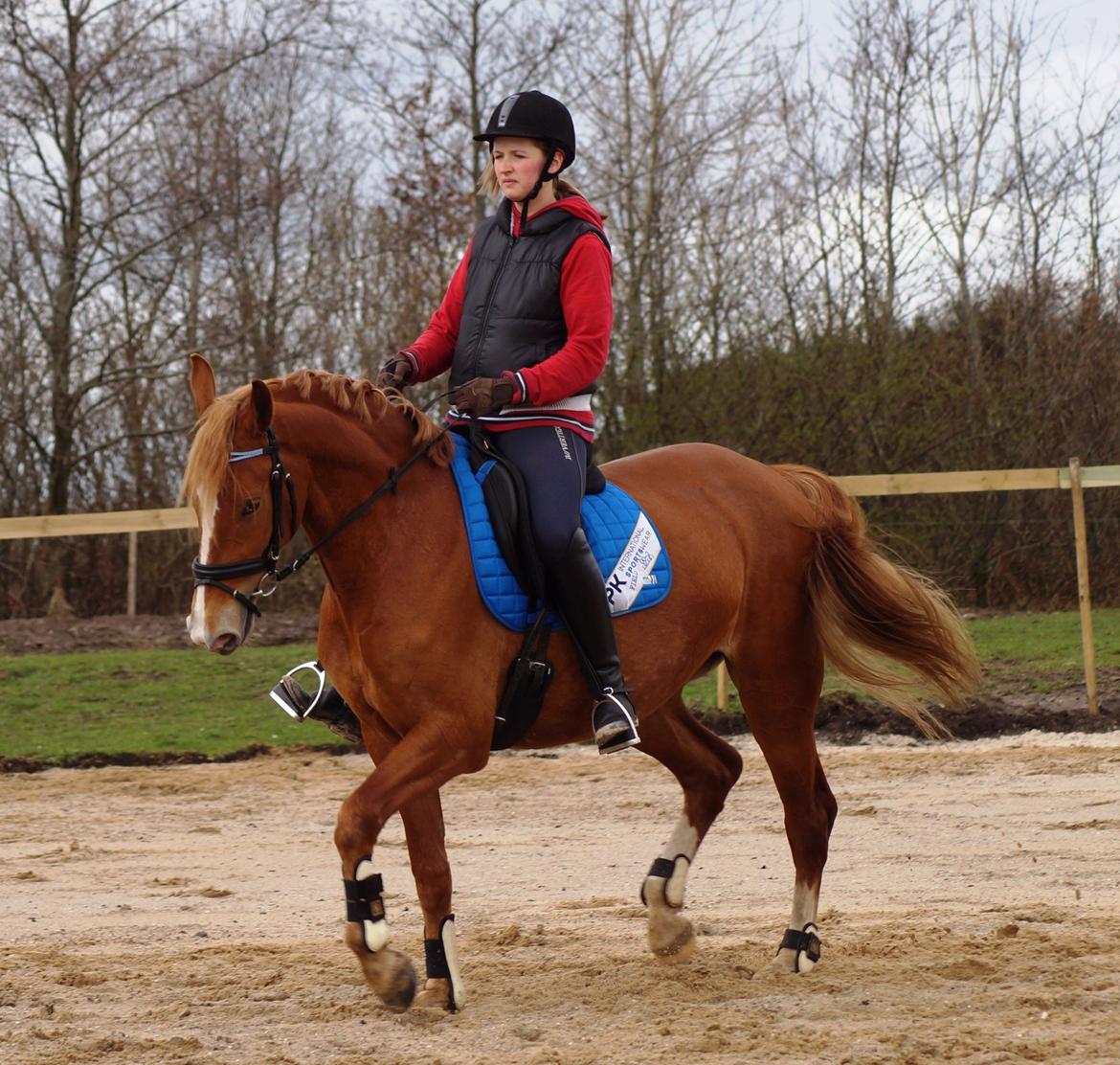Frederiksborg Vejvads Chanel billede 6