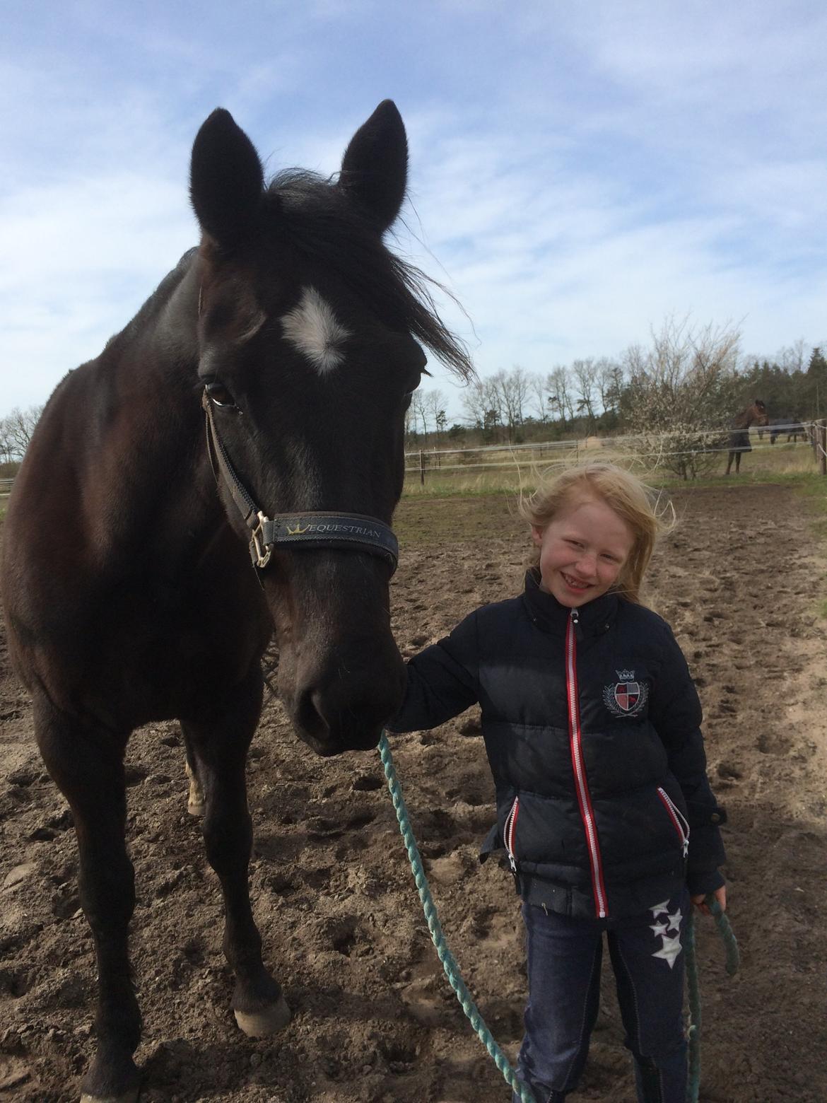 Traver Navy Langborg - Lækkert makkerpar... billede 5