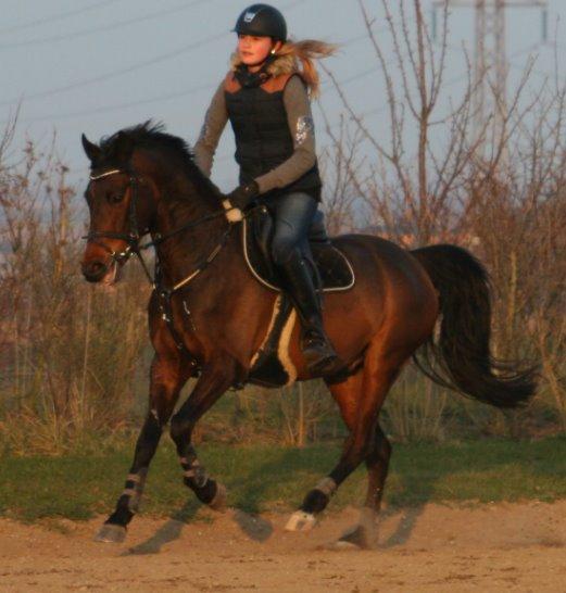 DSP Schrøter's La Couer billede 9