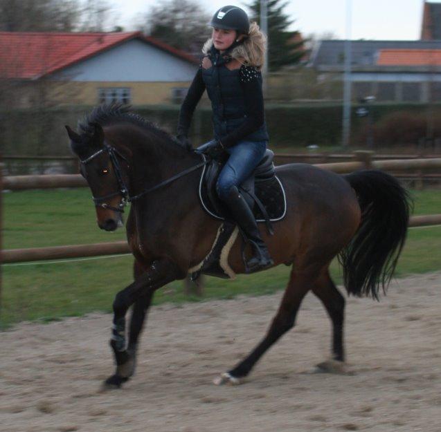 DSP Schrøter's La Couer billede 5