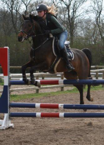 DSP Schrøter's La Couer billede 10