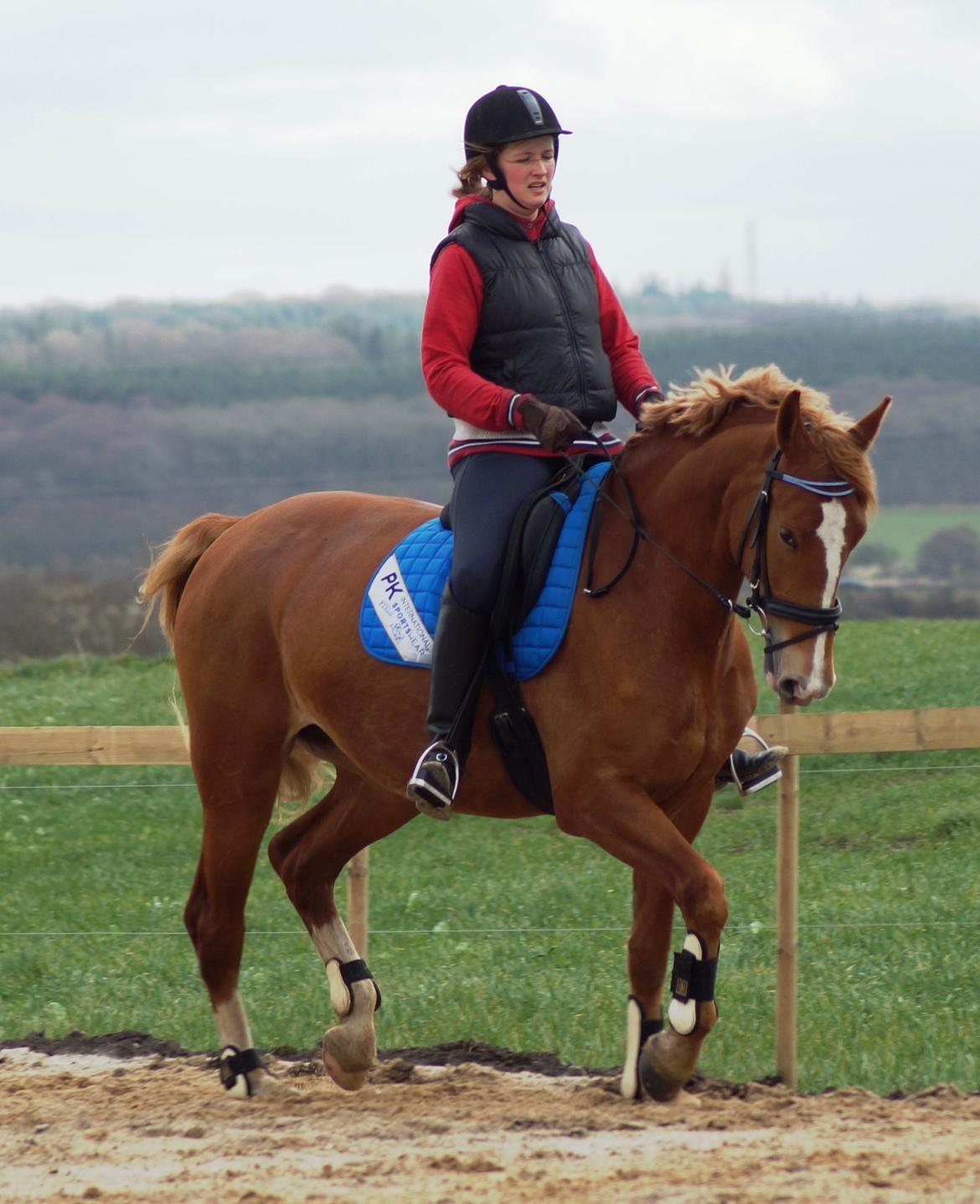 Frederiksborg Vejvads Chanel billede 5