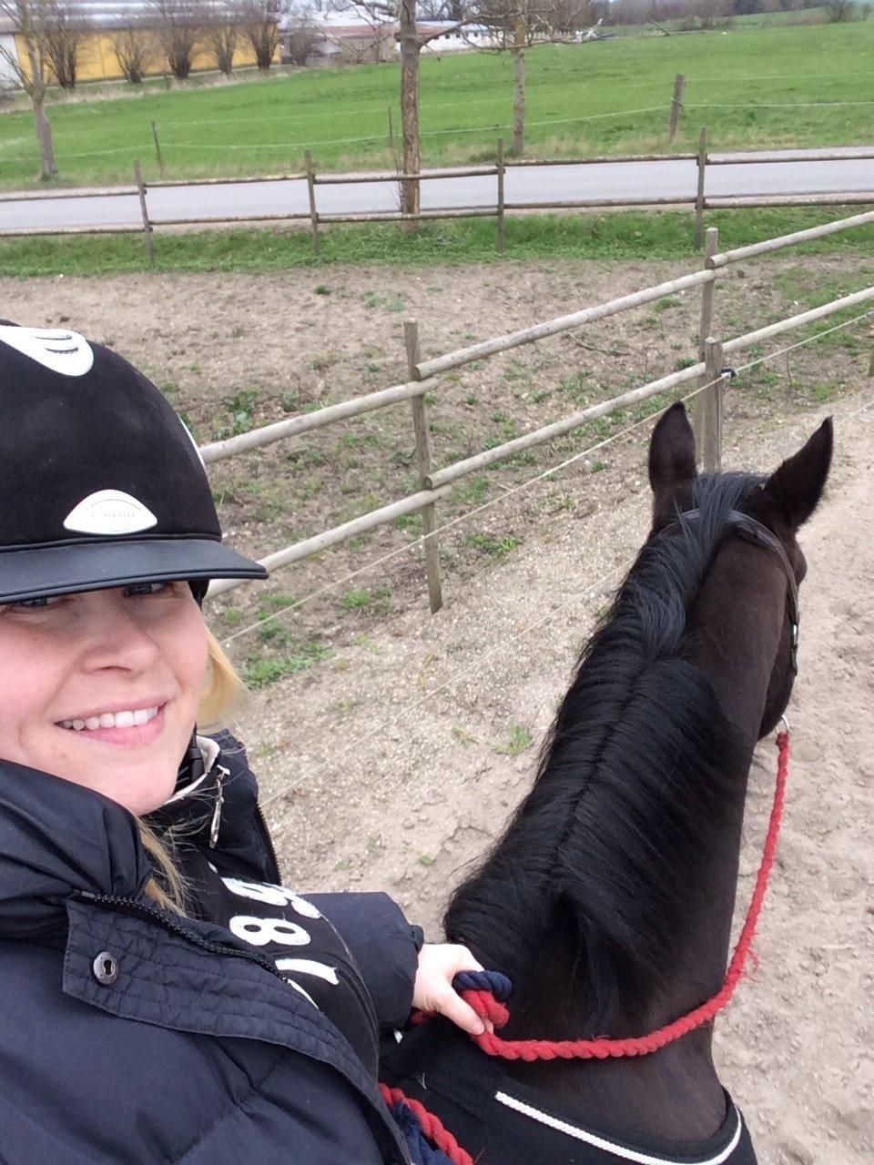 Oldenborg Cataco - Første ridetur - uden sadel og i grime billede 6