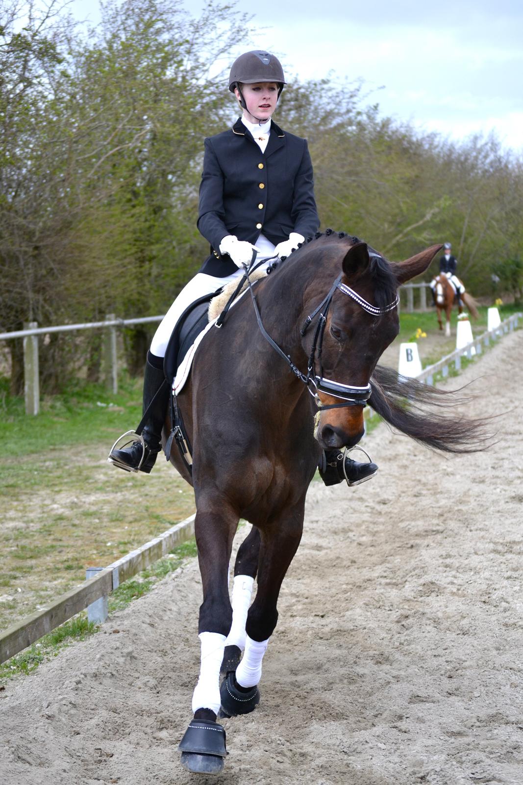 Holstener Jarl billede 6