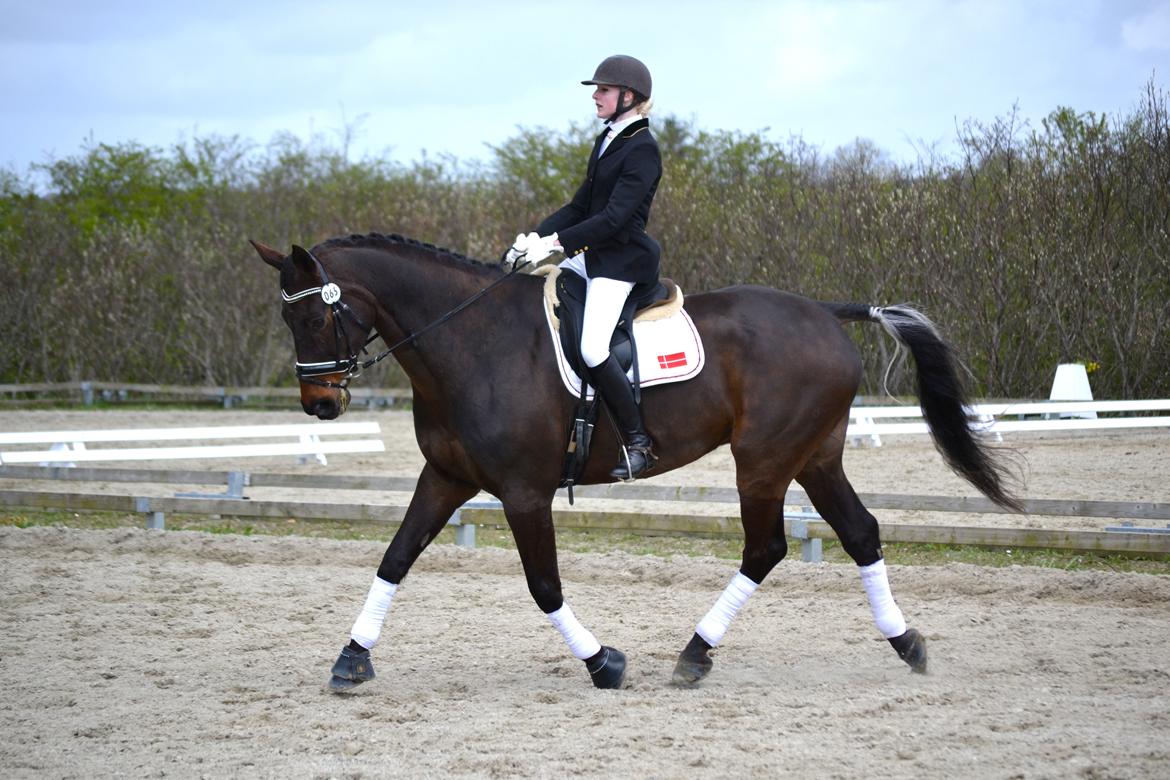 Holstener Jarl billede 3