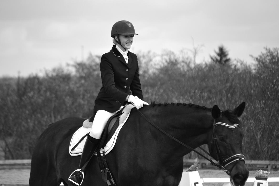 Holstener Jarl billede 12