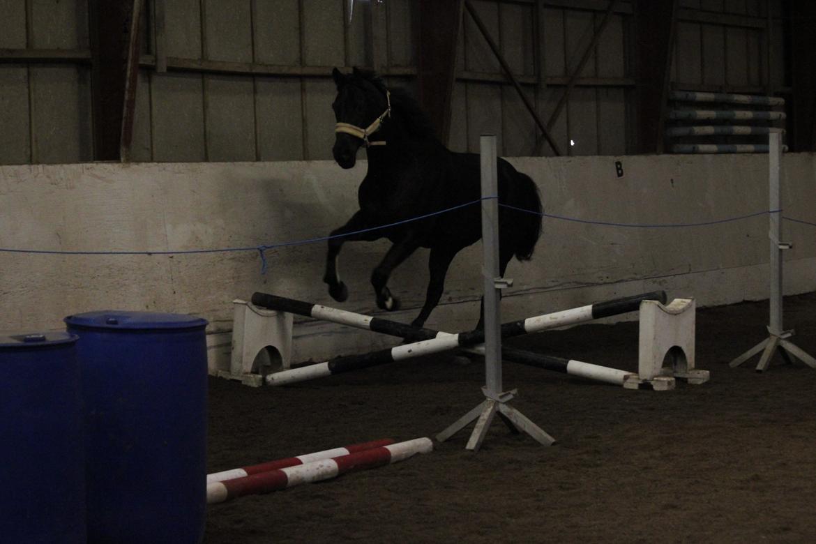 Oldenborg Masterpiece billede 18