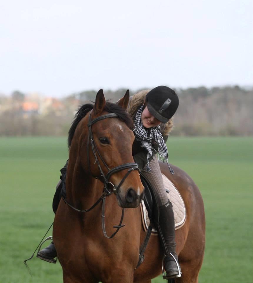 Dansk Varmblod Duras - Taget af Isabella Riis billede 5