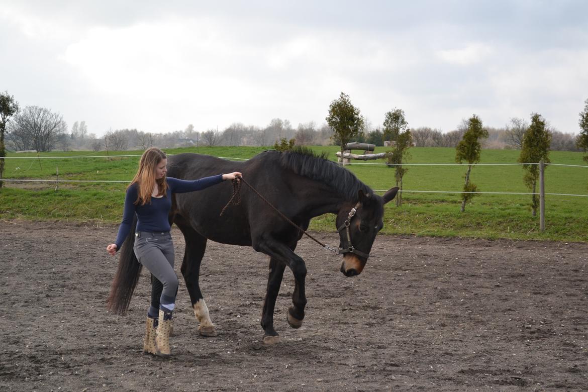 Anden særlig race Hermione - Tricks <3 billede 5