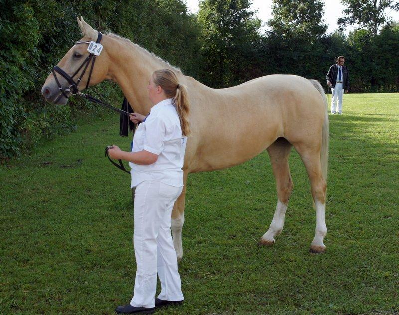 Frederiksborg Santini Vejleby billede 5