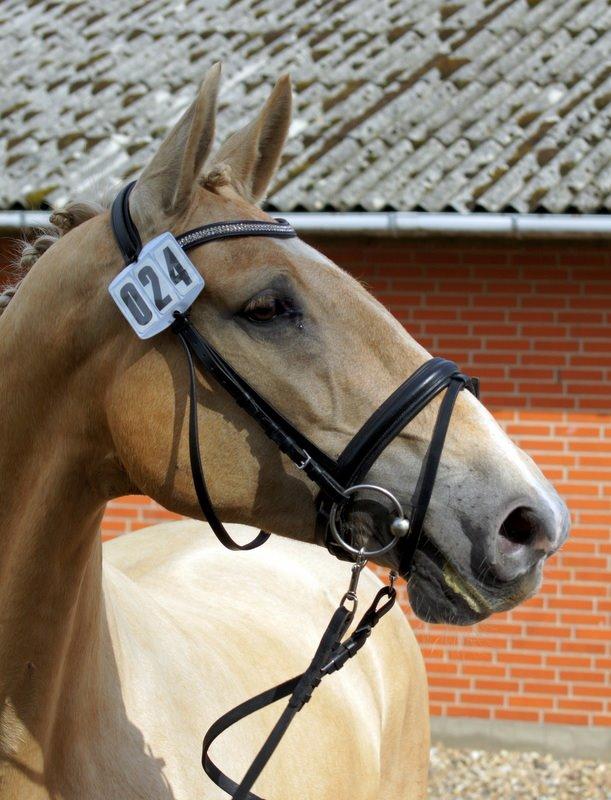 Frederiksborg Santini Vejleby billede 2