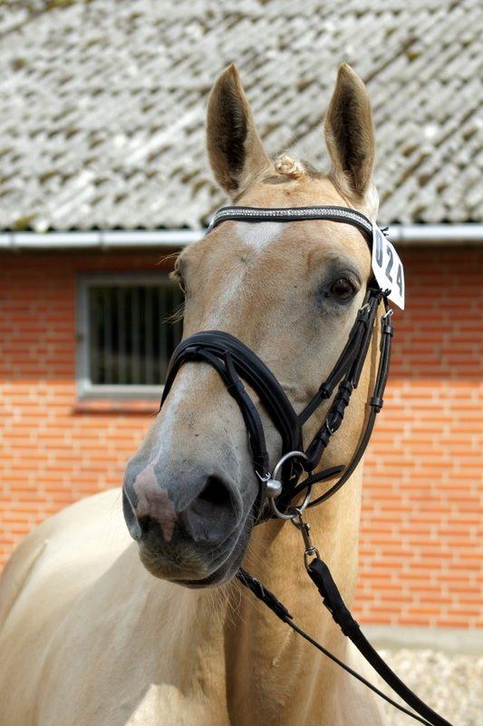 Frederiksborg Santini Vejleby billede 3