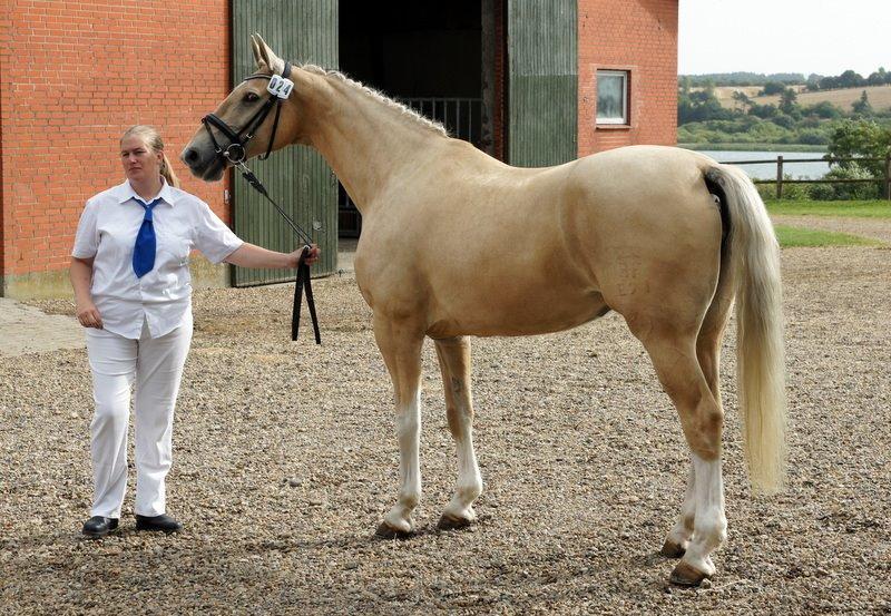 Frederiksborg Santini Vejleby billede 17