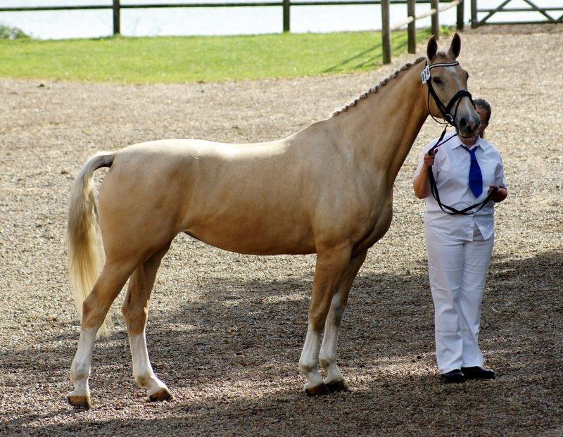 Frederiksborg Santini Vejleby billede 1