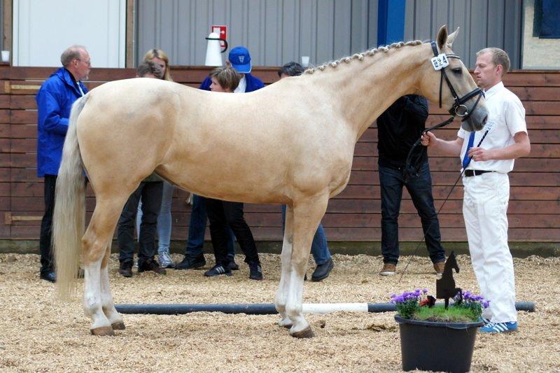 Frederiksborg Santini Vejleby billede 7