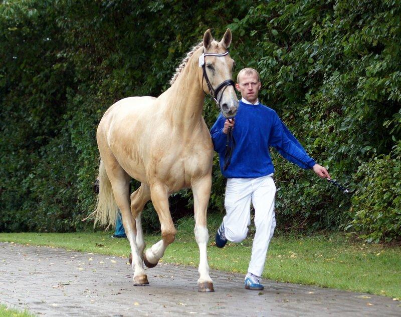 Frederiksborg Santini Vejleby billede 6