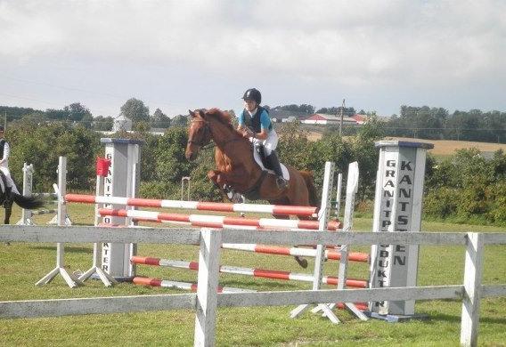 Hollandsk Sportspony Marien - Klubmester i højdespring 2012 billede 12
