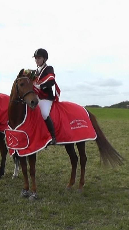 Hollandsk Sportspony Marien billede 19