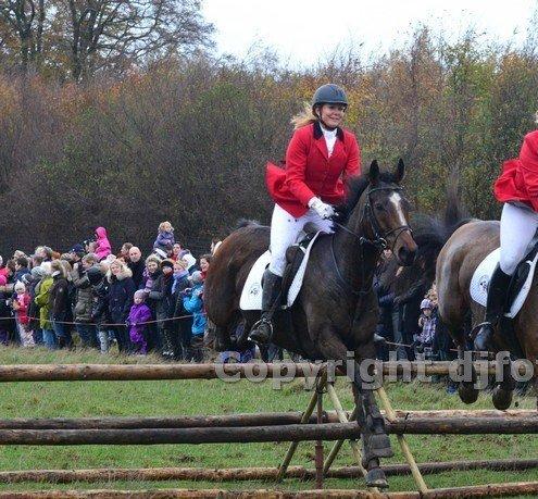 Fuldblod (XX) Pistoleiro billede 3