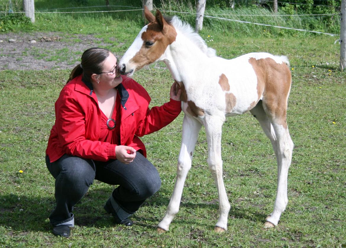 Pinto Love Never Dies (SOLGT) *For evigt elsket <3* - Lille Lulu giver mys :) billede 36