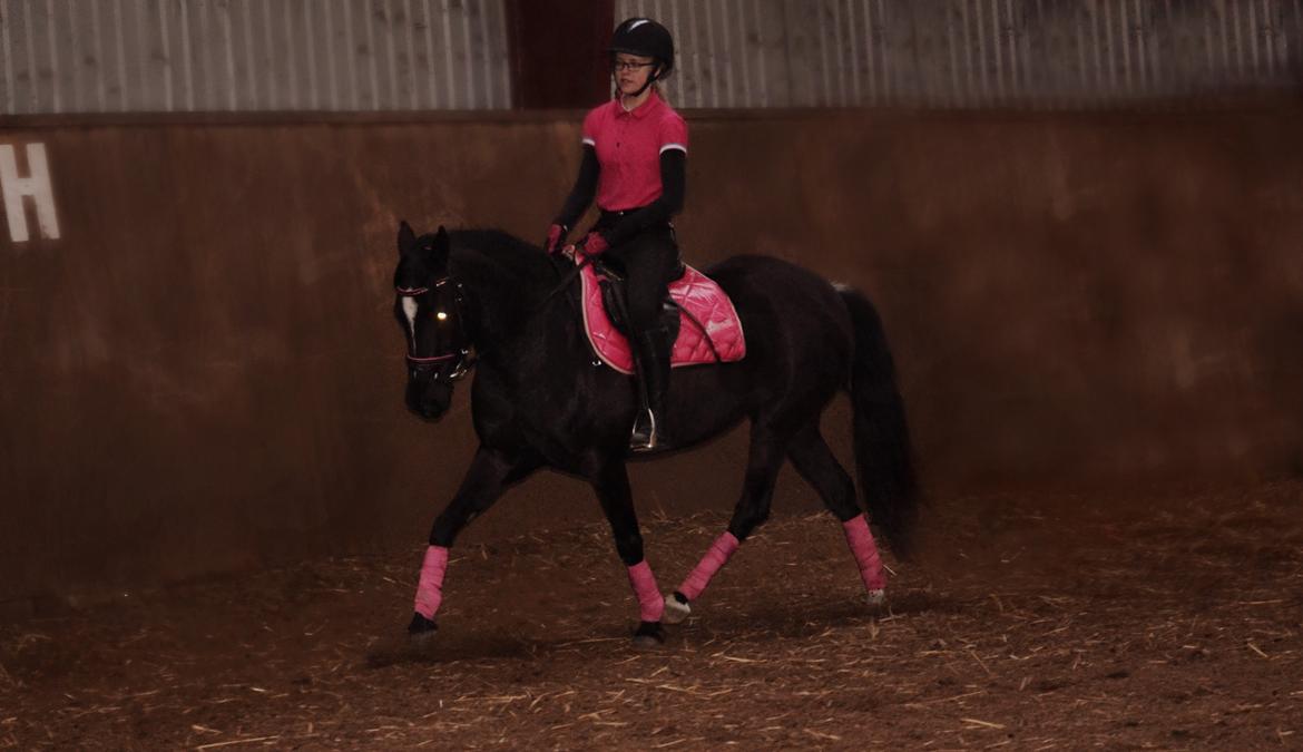 DSP Bæklunds Cheri billede 12