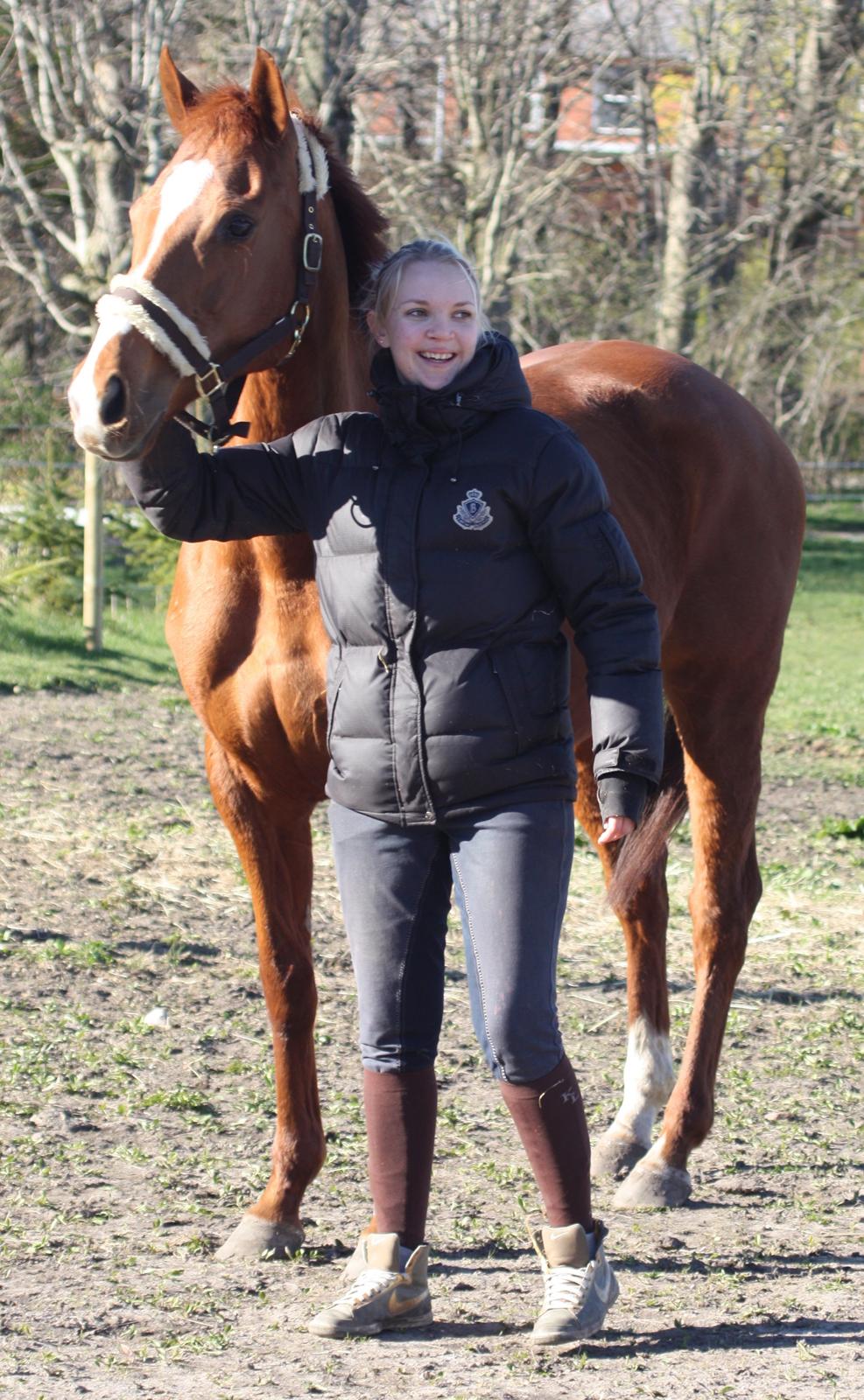 Fuldblod (XX) Macho Dancer (Ire) billede 12