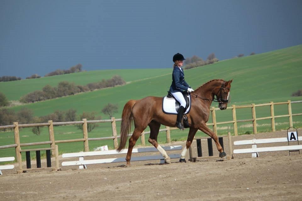 Dansk Varmblod Aysia e - Stævne SDS april 2014! Foto: Mette <3 billede 13