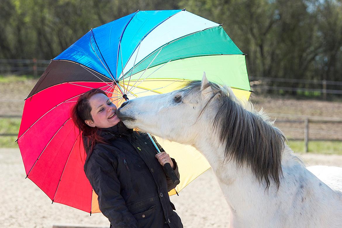 Anden særlig race Dino Soleil - leger med paraply! Billede af: K.J Foto billede 15