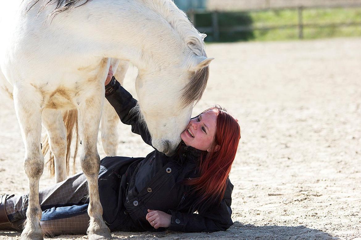 Anden særlig race Dino Soleil - Hygge <3 Billede af: K.J Foto billede 19