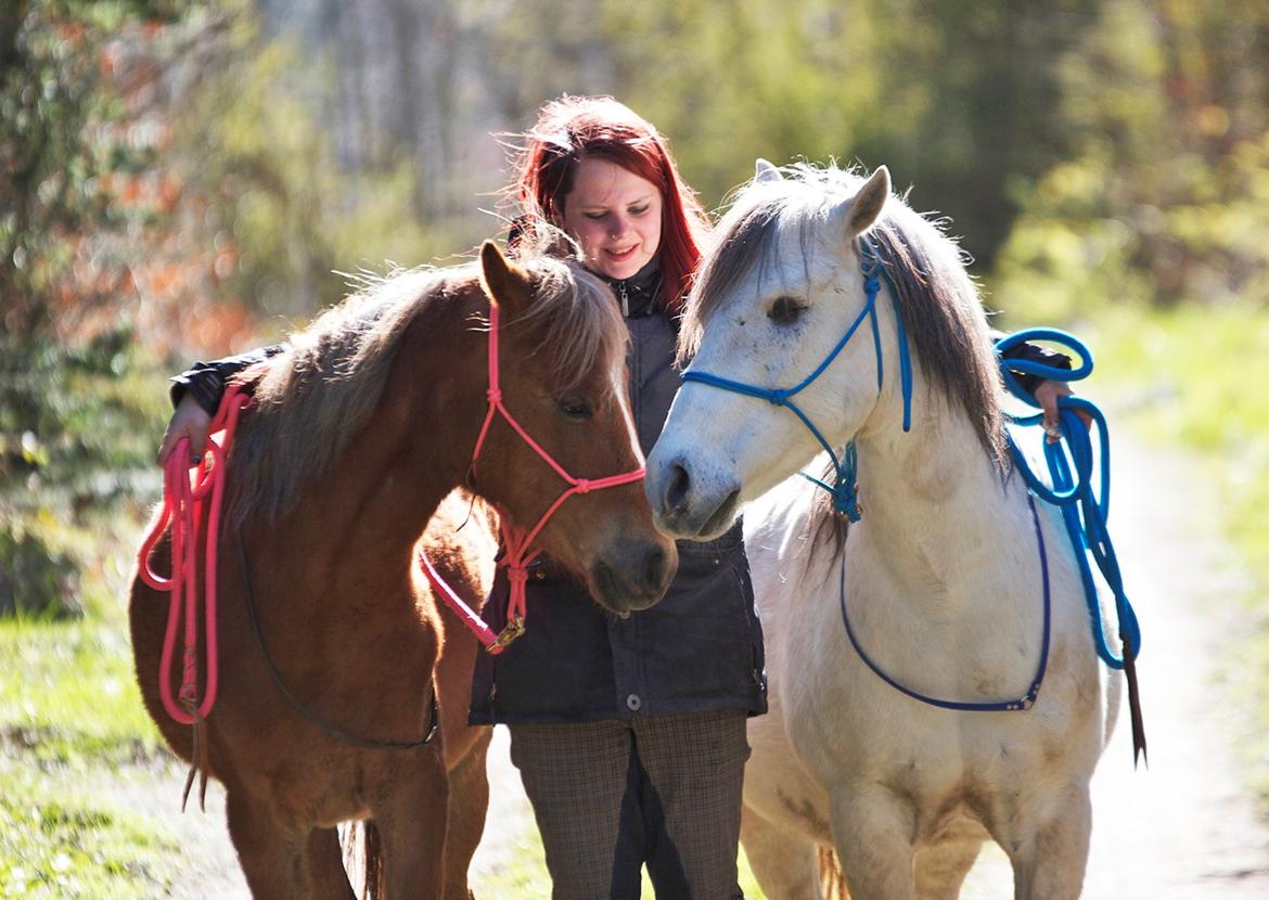 Anden særlig race Gry Soleil [Himmelhest] - På tur med Dino! Billede af: K.J Foto billede 14