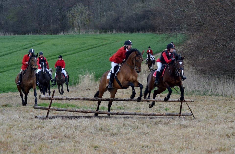 Oldenborg Kyllingegårdens Yasmin billede 14