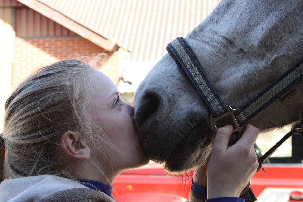 Connemara Mosegårdens Mascha  - my love<333 billede 17