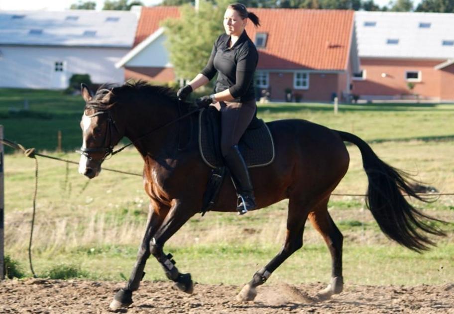 Anden særlig race Duszka (solgt) billede 13