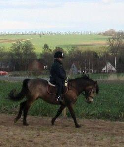 Anden særlig race Damgårds Maggie billede 6