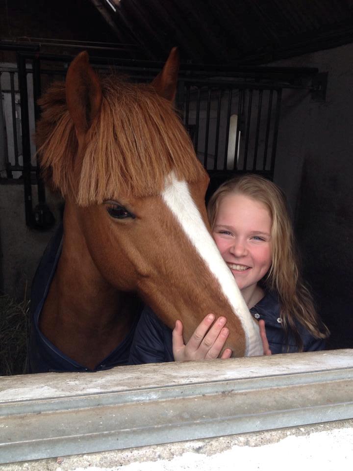 Irsk Sportspony Mr. Derwin <3 - Velkommen til min stjerne!:D billede 20