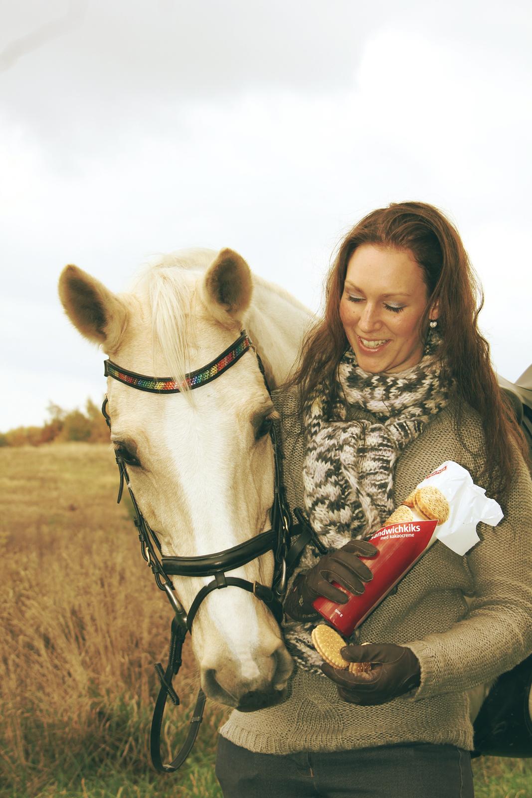 Palomino Duchess billede 3