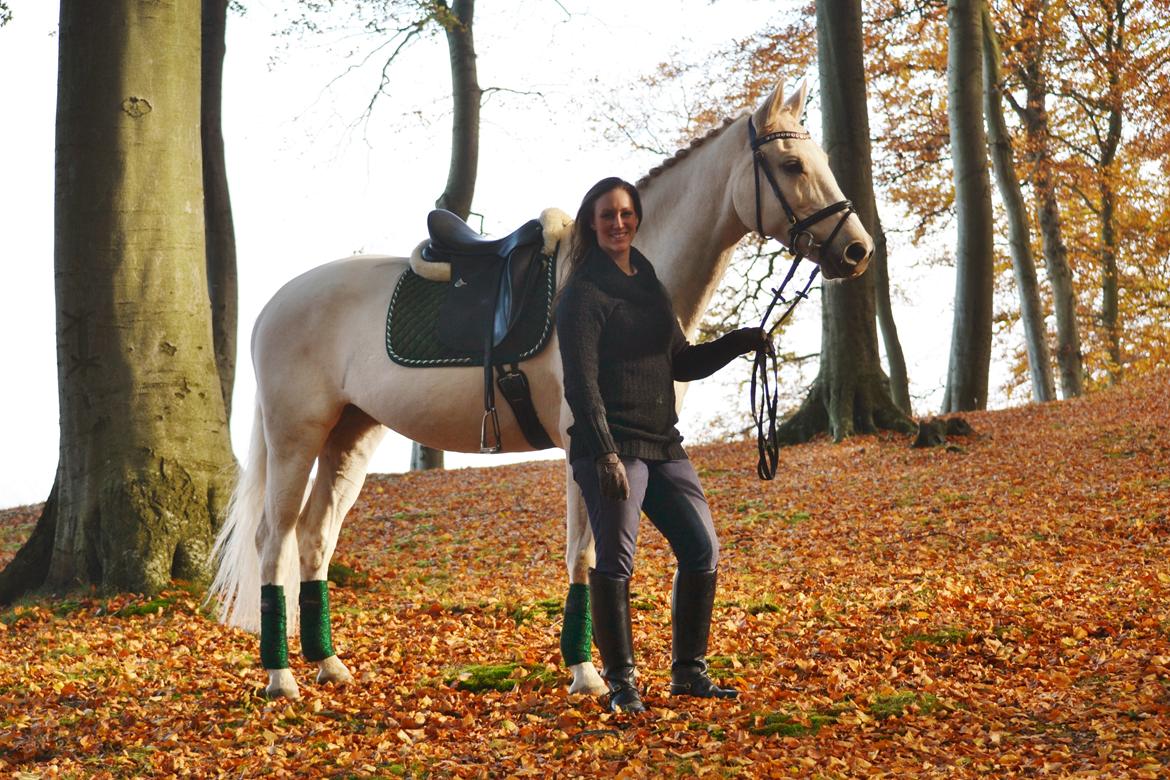 Palomino Duchess billede 8