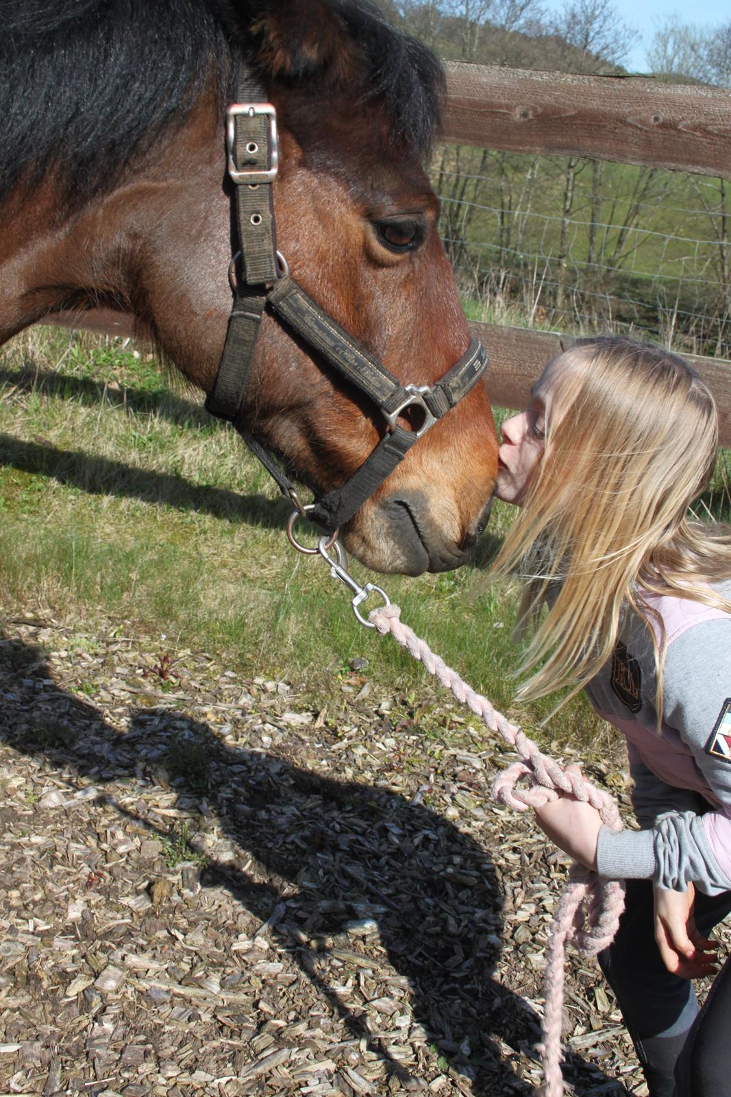 Anden særlig race flying dusty [Tidl. hest] - Elsker min prins <3 billede 17