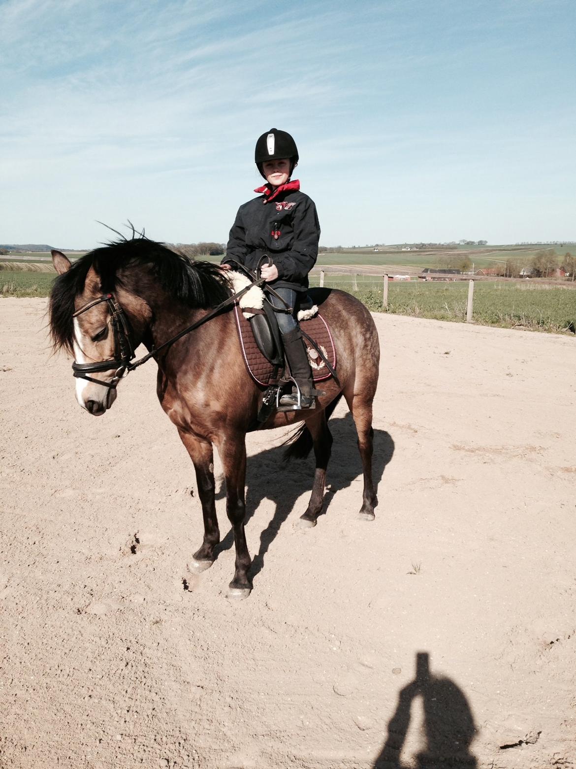 Anden særlig race Damgårds Maggie billede 8