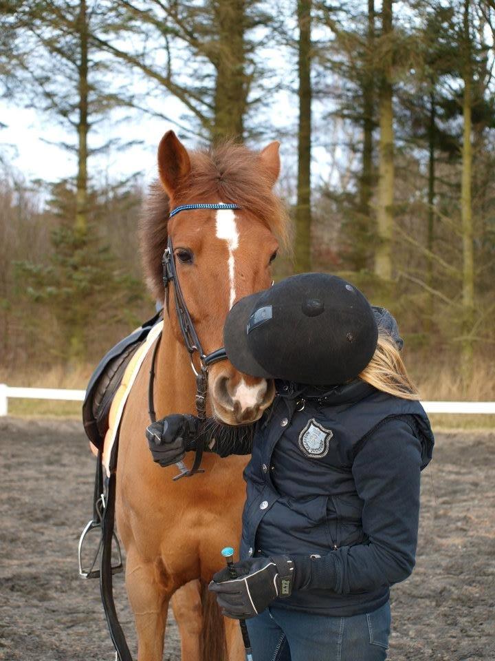 Anden særlig race Ricardo - Solgt billede 17
