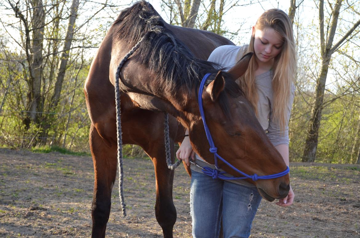 Anden særlig race Enghavegaards Fifty Cent - 16-04-2014 billede 14