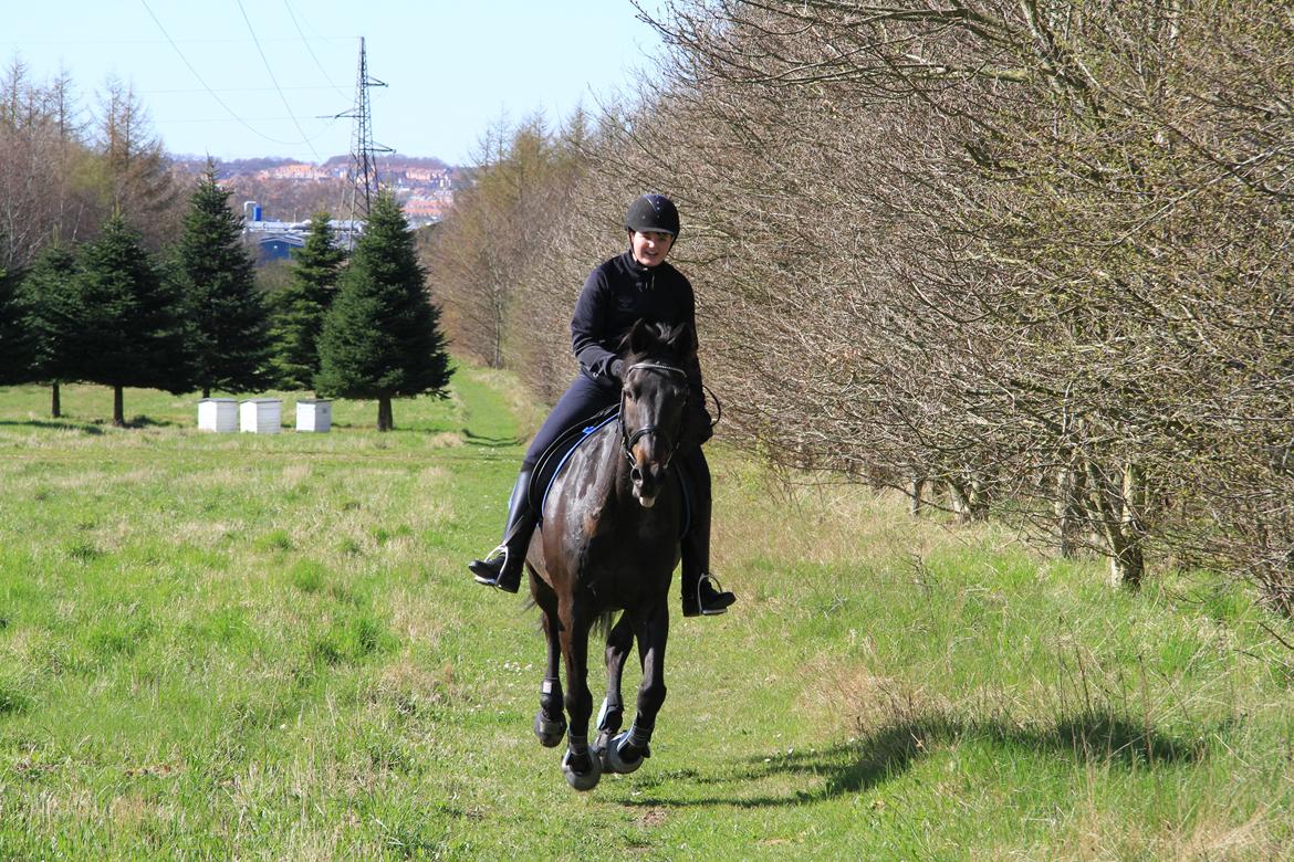 Anden særlig race Skonhøjs Mondi | Savnet så forfærdelig meget! :'(  - Hehe, vi rækker da lige tunge, når vi susser forbi alle ;P billede 21