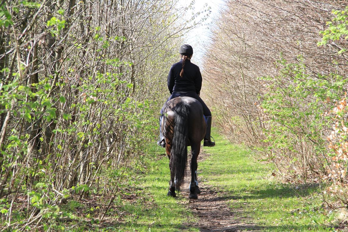 Anden særlig race Skonhøjs Mondi | Savnet så forfærdelig meget! :'(  - Husk, den største gave ikke findes i en butik eller under et træ, men i hjertet hos en sand ven, Mondi<3  billede 20