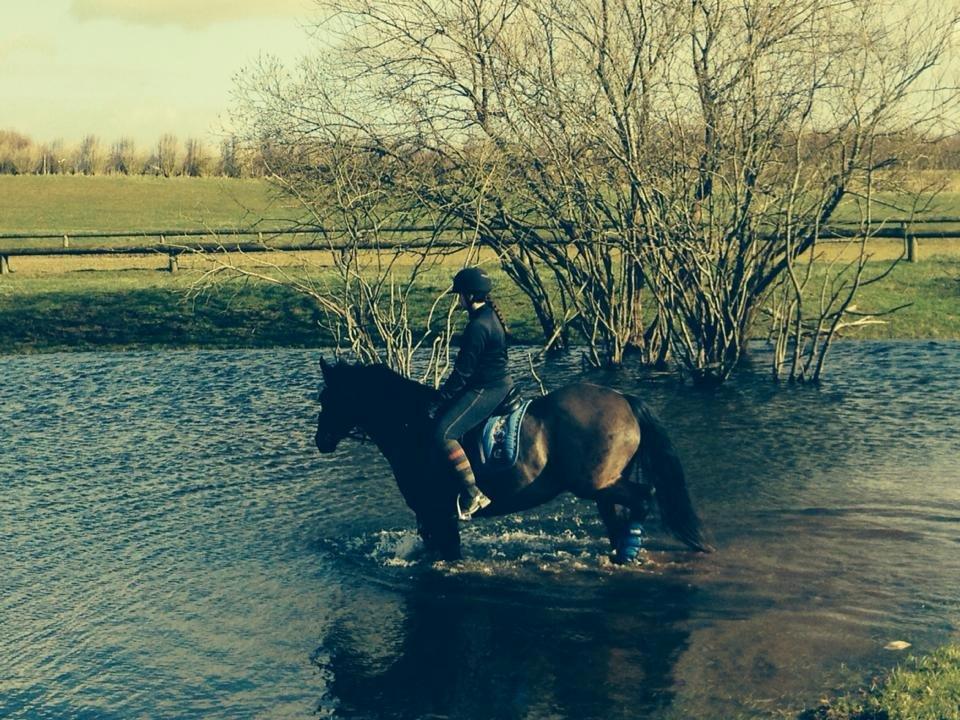 Anden særlig race Skonhøjs Mondi | Savnet så forfærdelig meget! :'(  - Mondi og jeg siger farvel her fra, og håber i vil kigge forbi igen, og læg gerne en bedømmelse, og en kommentar ;) <3 billede 23