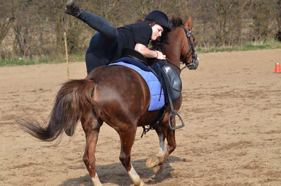 Anden særlig race Flicka billede 1