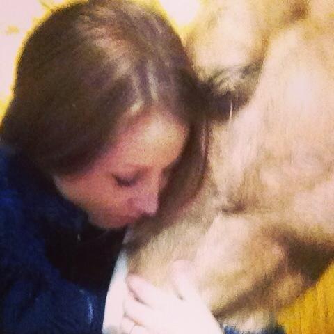 Welsh Cob (sec D) Anjershof Pearl - RIP best friend <3 billede 10