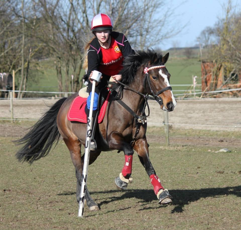 DSP Fredbo´s Idol billede 3