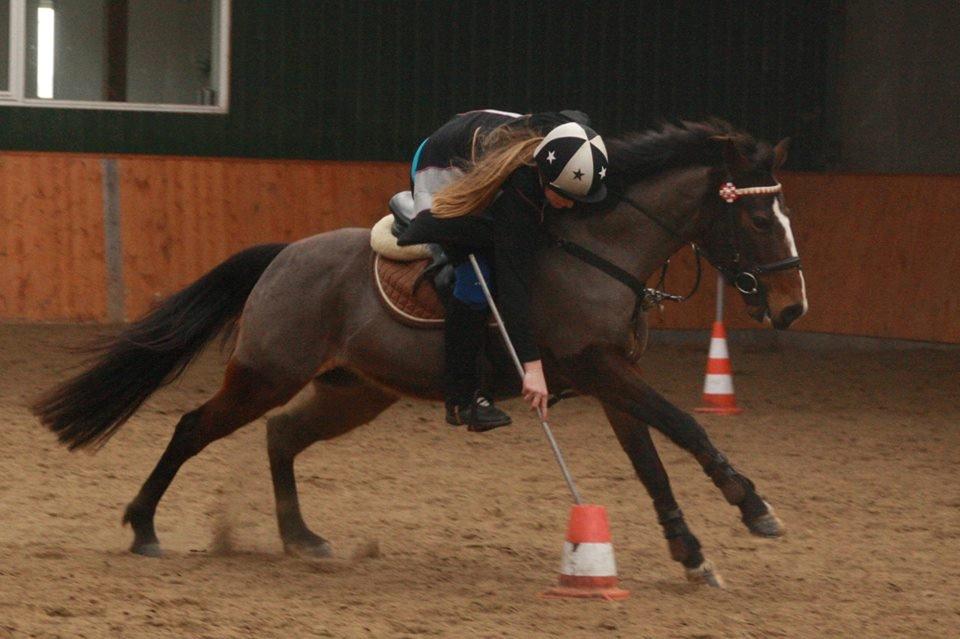 DSP Fredbo´s Idol billede 4