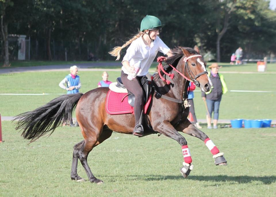 DSP Fredbo´s Idol billede 5