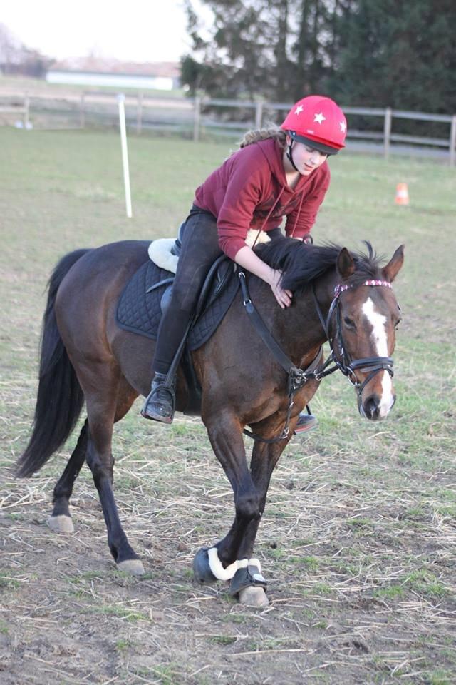 DSP Fredbo´s Idol billede 8